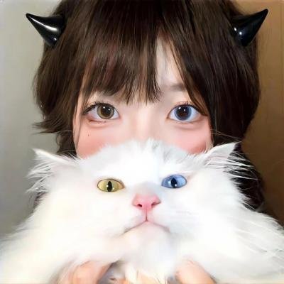 椰子英雄